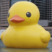 inflatable duck swim ring